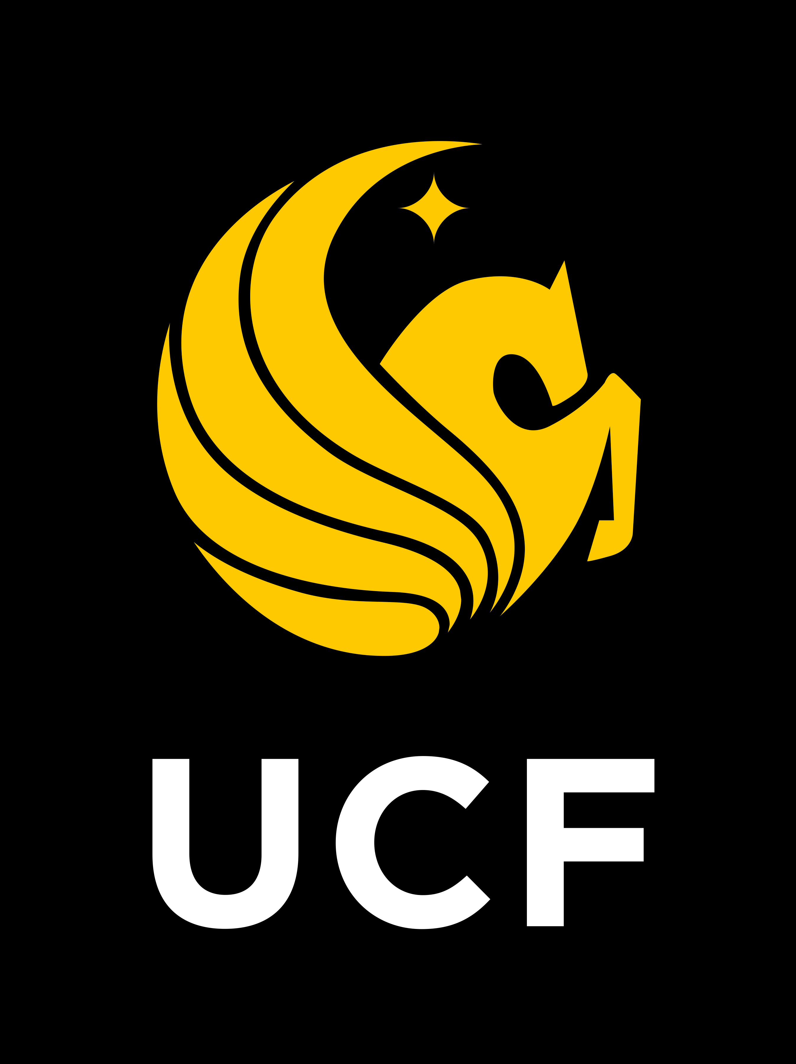 UCF Industrial Engineering & Management Systems